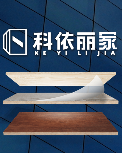 设计师十二